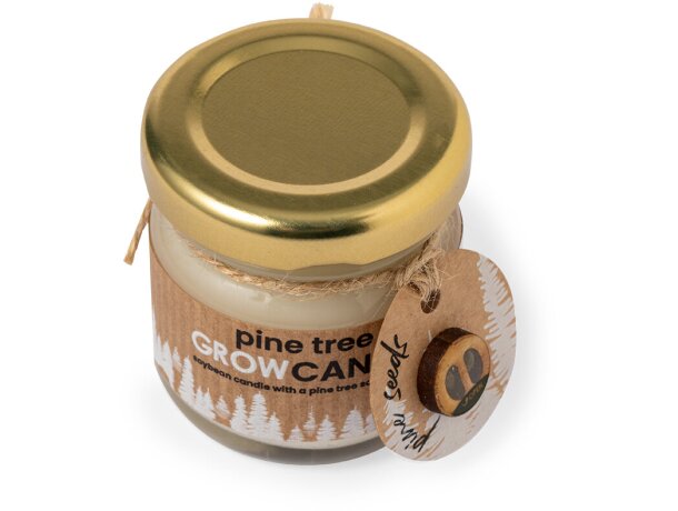 Vela aromática Lisa