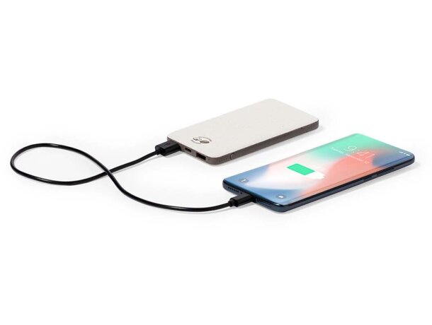 Power bank Mayer