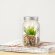 Planta decorativa Kyala cristal borosilicato con led detalle 5