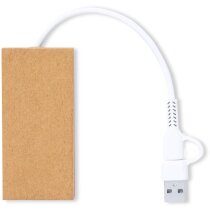 Hub USB Hasgar fabricado en cartón reciclado