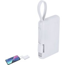 Power bank Brandin