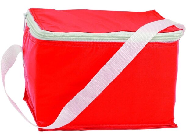 Nevera de plástico y aluminio para bebidas