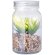 Planta decorativa Kyala cristal borosilicato con led detalle 1