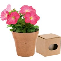 Maceta de cartón reciclado con semillas de petunia barata Maceta de cartón reciclado con semillas de petunia barata