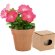 Maceta de cartón ecológico con semillas de petunia Natural