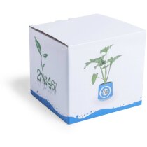 Reloj de sobremesa con macetero personalizado Reloj de sobremesa con macetero personalizado