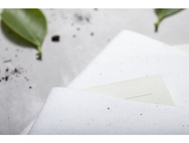 Bloc Notas Semillas Naikel