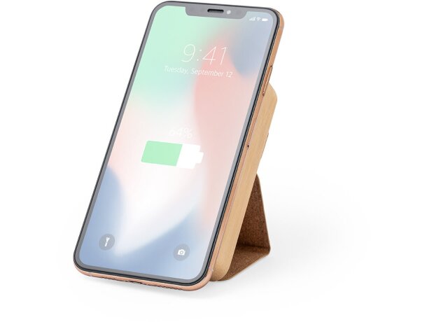 Power Bank Dobson