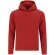 Sudadera niño Draco Rojo
