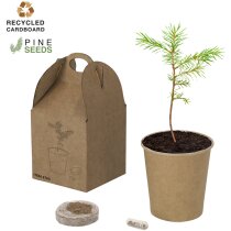 Maceta Vencor de cartón reciclado con semillas