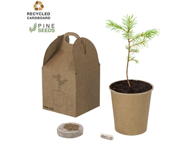 Maceta ecológica Vencor de cartón reciclado con semillas detalle 1