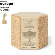 Maceta con semillas de pino de corcho