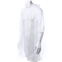 Poncho Domin