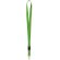 Lanyard Kunel Verde