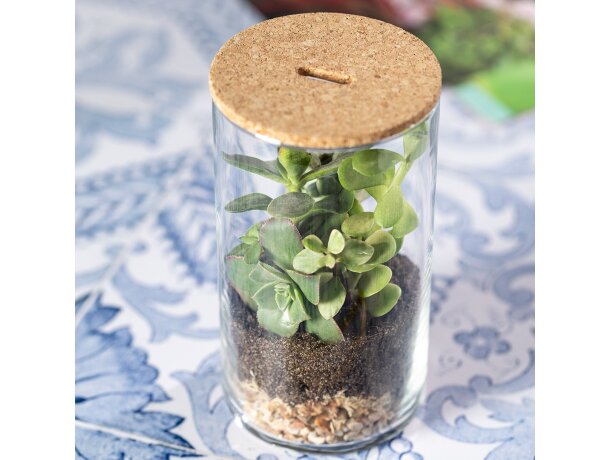 Terrarium Anymak