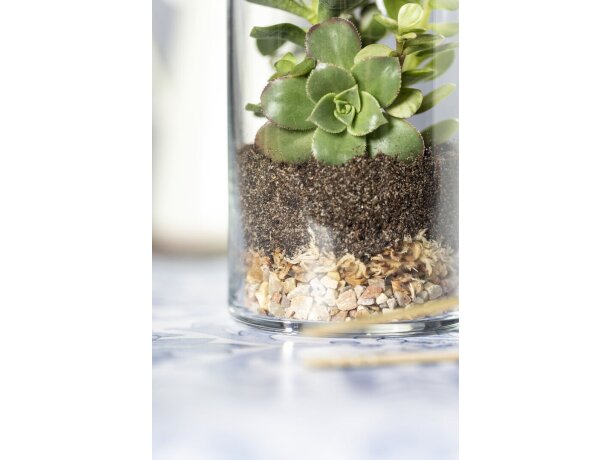 Terrarium Anymak