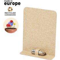 Semilla de flores en cápsula