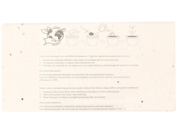 Caja lápices semillas Delar detalle 4