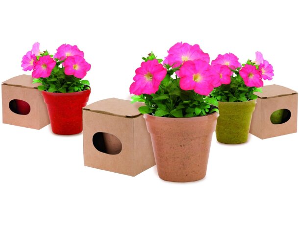 Maceta de cartón reciclado con semillas de petunia personalizada Maceta de cartón reciclado con semillas de petunia personalizada