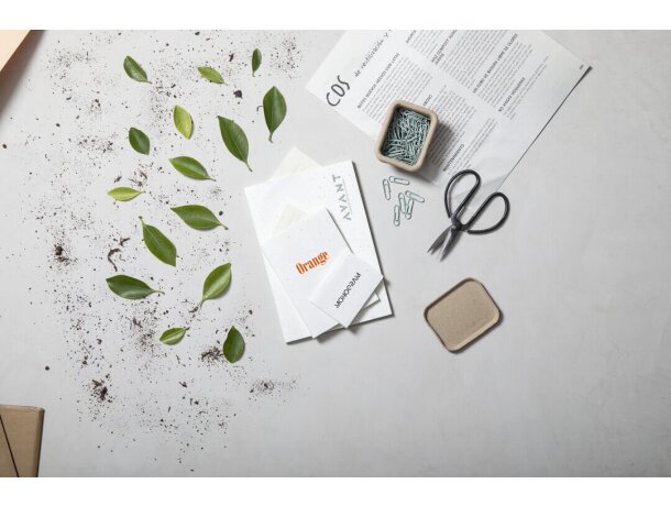 Bloc Notas Semillas Serex