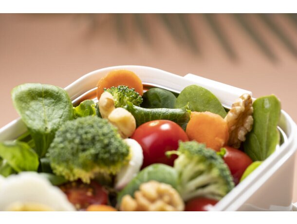 Fiambrera Térmica Dixer