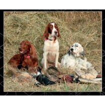 Calendario de pared para xxl