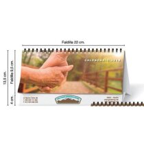 Calendario de sobremesa de 13 hojas