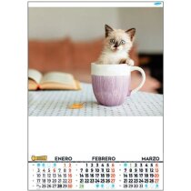 Calendario de pared bimensual papel couche brillo