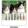 Calendario De Mesa Personalizados Cd Pequeños Surtidos gatitos