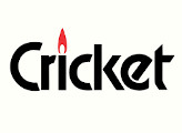 Logo de Mecheros Cricket