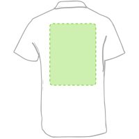 Area marcaje En la espalda