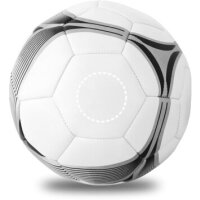 Area marcaje Pelota - Panel 2