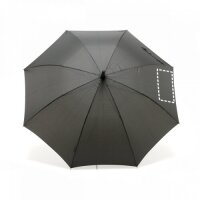 Area marcaje Paraguas - Gajo