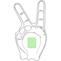 Area marcaje En la palma de la mano