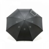 Area marcaje Paraguas - Gajo 3