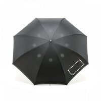 Area marcaje Paraguas - Gajo