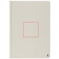 Area marcaje Frontal