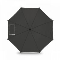 Area marcaje Paraguas - Gajo 2