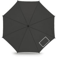 Area marcaje Paraguas - Gajo 4