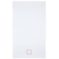 Area marcaje Frontal