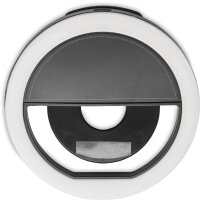 Area marcaje Domo delantero