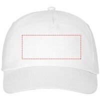 Area marcaje Frontal