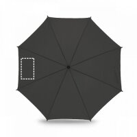 Area marcaje Paraguas - Gajo 2