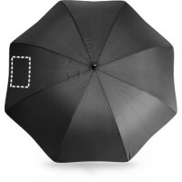 Area marcaje Paraguas - Gajo 2