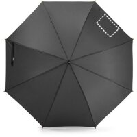 Area marcaje Paraguas - Gajo 3