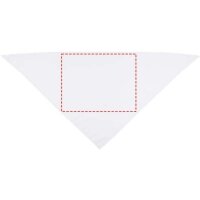 Area marcaje Frontal