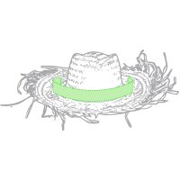 Area marcaje Circunferencia