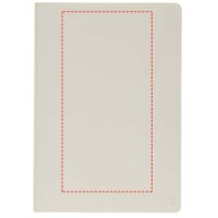 Area marcaje Frontal