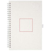 Area marcaje Frontal