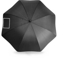 Area marcaje Paraguas - Gajo 2